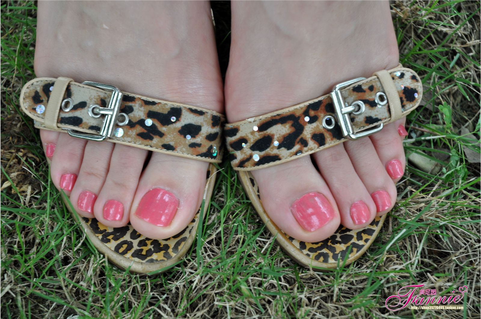 夏日阳光、细雨和微风（3） 芬妮高清丝足